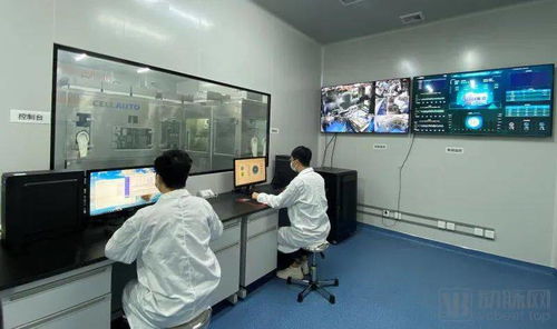 賽動(dòng)智造 從源頭創(chuàng)新,搭建全自動(dòng)細(xì)胞智造服務(wù)平臺(tái),高通量智造細(xì)胞產(chǎn)品