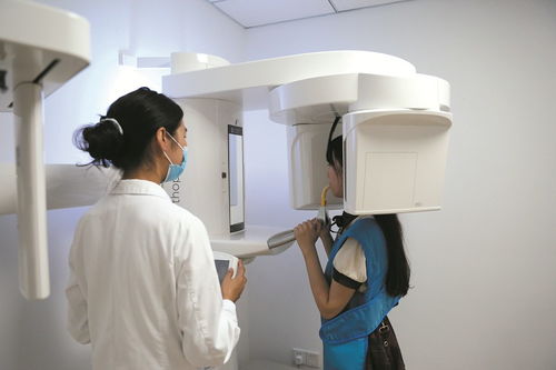 視力矯正 整形美容 口腔診療