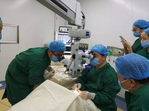 今天起,荊州人在自家門(mén)口就可以享受一流的眼科診療服務(wù)啦